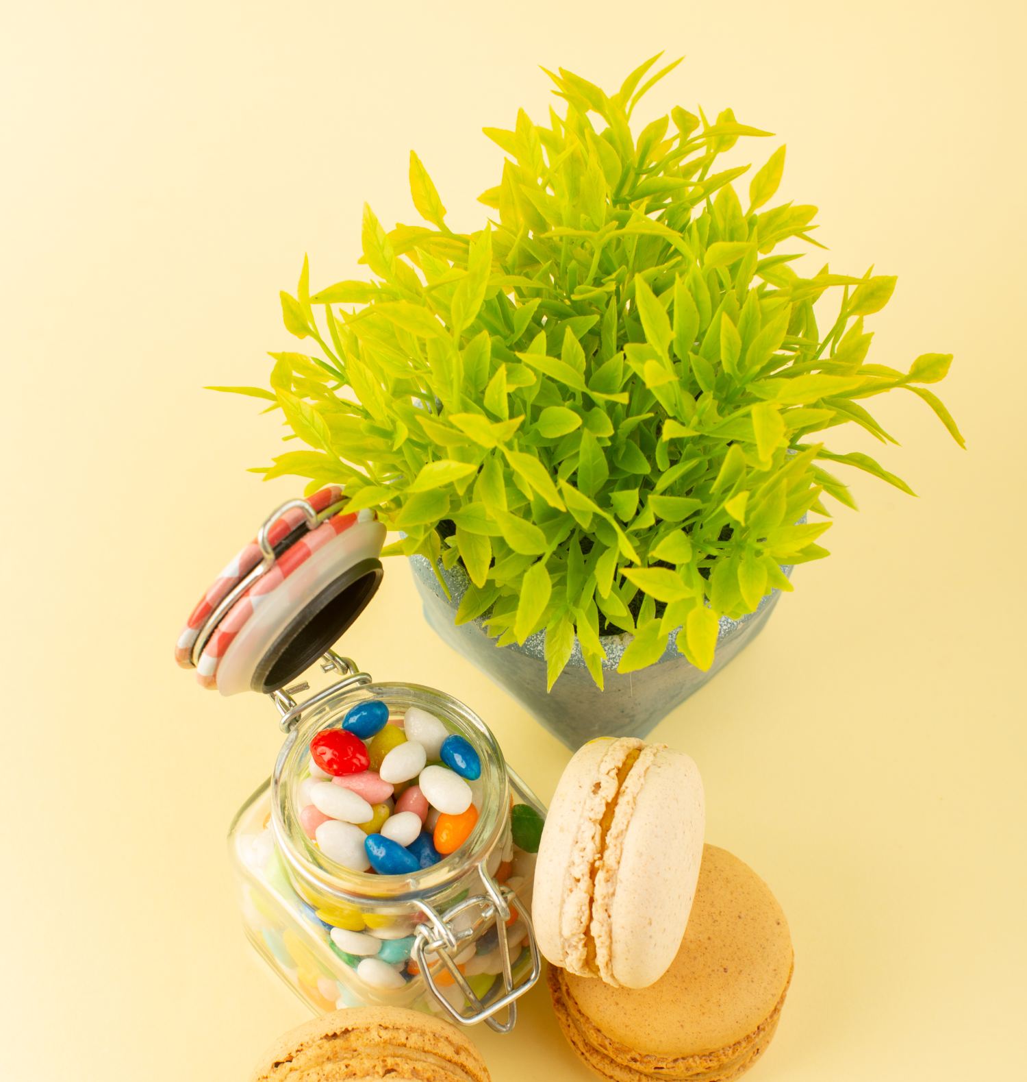 top-view-colorful-candies-with-french-macarons-plant (3)